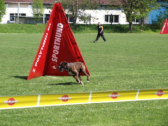 www.atibox.net * www.euroboxer.eu * www.boxergenealogia.eu